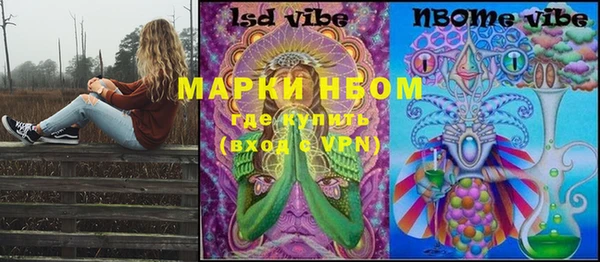 МДПВ Алзамай