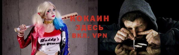 МДПВ Алзамай
