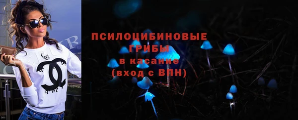a pvp Алексин