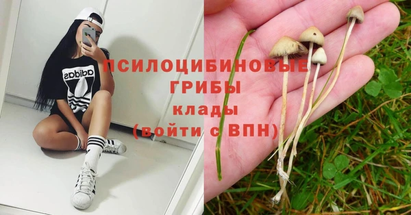 МДПВ Алзамай