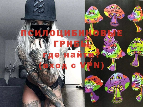 ешки Переславль-Залесский