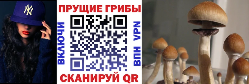 Псилоцибиновые грибы ЛСД  купить   Шелехов 